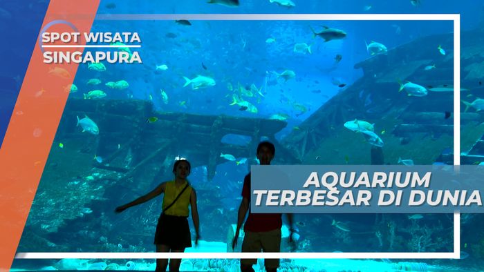SEA Aquarium Singapura, Akuarium Terbesar di Dunia