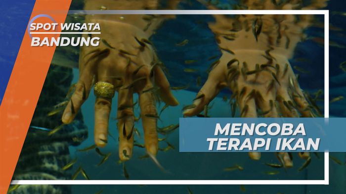 Terapi Ikan Garra Rufa di Science Center Trans Studio Bandung