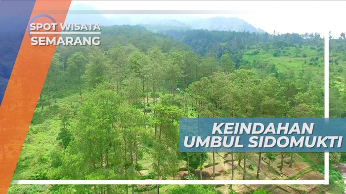 Umbul Sidomukti, Wisata Keluarga yang Menarik Dengan Pemandangan yang Cantik, Semarang