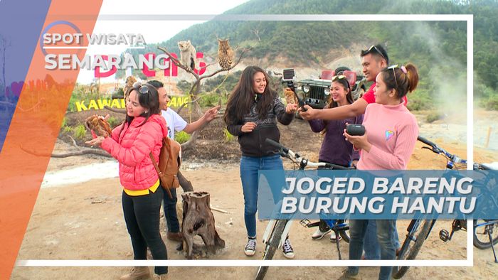 Bertemu dengan Kawanan Burung Hantu di Kawah Sikidang Dieng