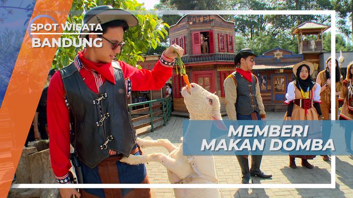 Memberi Makan Domba, Salah Satu Kegiatan Seru di Farm House Lembang