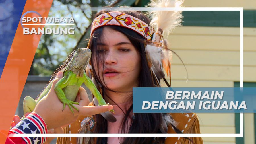 Iguana, Hewan Reptil yang Jadi Koleksi Farm House Bandung