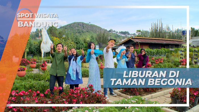 Taman Begonia Bandung, Keindahan Pemandangan Bunga yang Beragam