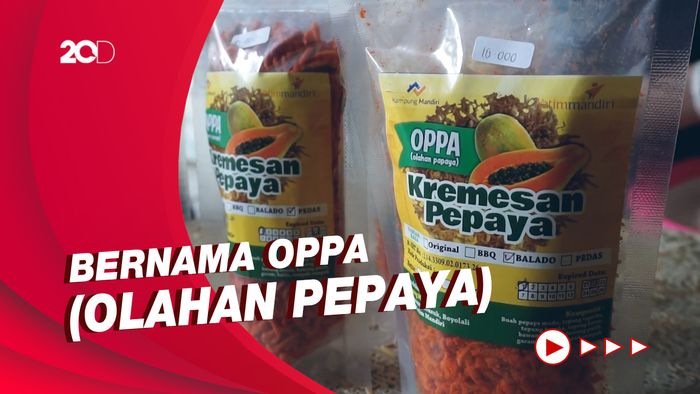Harga Pepaya Jatuh, KWT Boyolali Sulap Jadi Camilan Nikmat