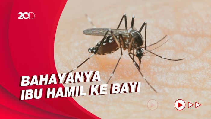 Waspada! DBD Bisa Menular Lewat 3 Cara Berikut