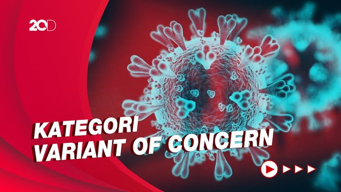 Apa yang Menyebabkan B.1.1.529 atau Omicron Disebut Mengkhawatirkan?
