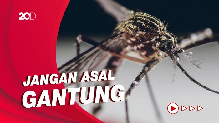 Perhatikan Gantungan Bajumu, Nyamuk Suka dengan Bau Manusia