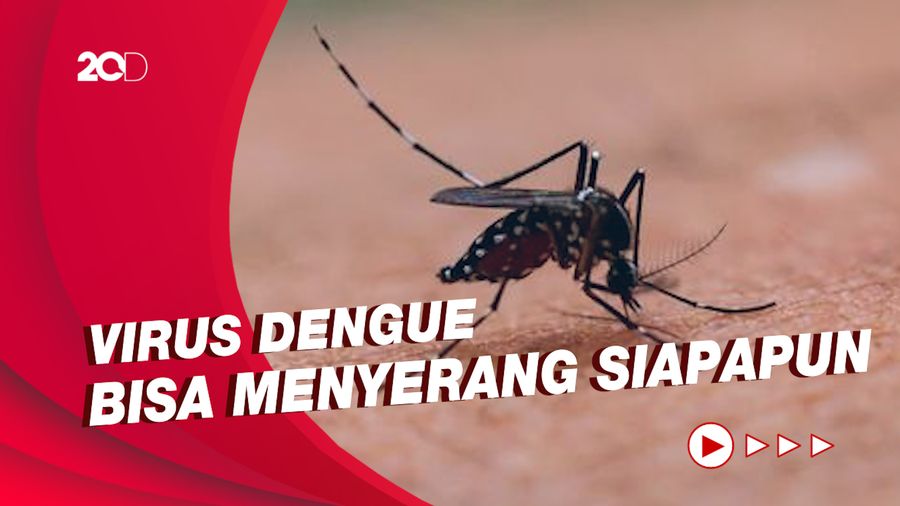 Selain Covid-19, Demam Berdarah Juga Bisa Tanpa Gejala