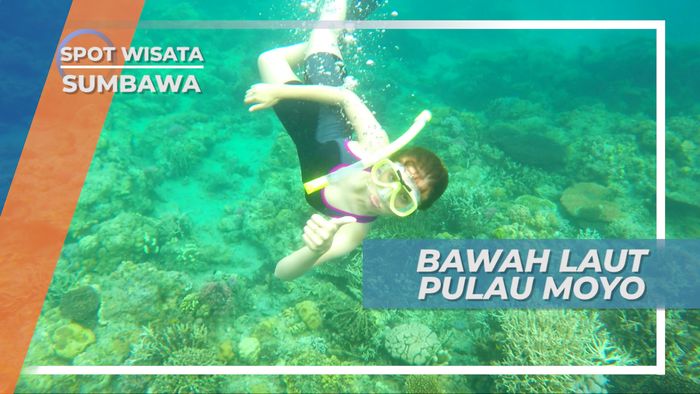  Pulau Moyo, Keindahan Surga Bawah Laut yang Super Duper Mempesona, Sumbawa