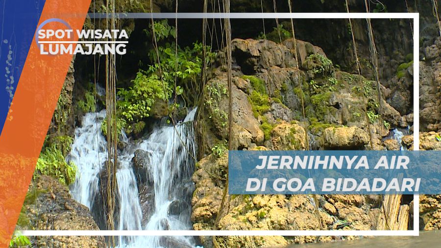 Goa Bidadari dan Kejernihan Airnya, Lumajang Jawa Timur
