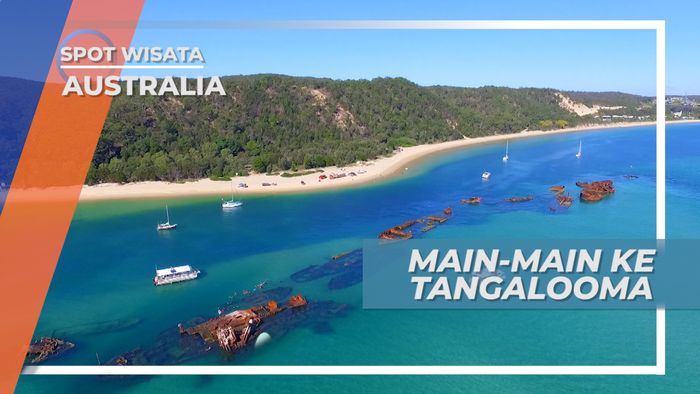 Berkunjung ke Tangalooma Moreton Island Queensland Australia