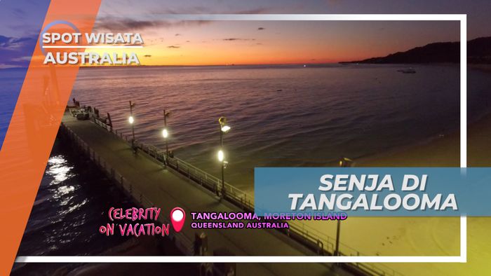 Senja di Tangalooma Australia, Lukisan Alam nan Indah Ditemani Lumba-Lumba