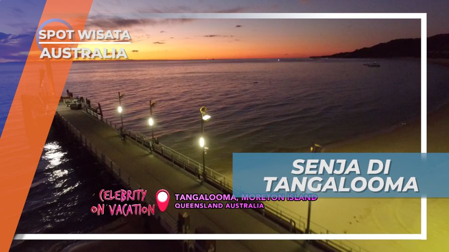 Senja di Tangalooma Australia, Lukisan Alam nan Indah Ditemani Lumba-Lumba