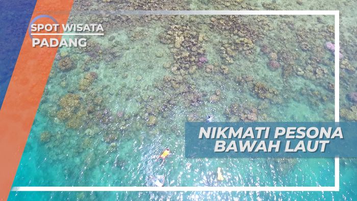 Ikan-ikan Cantik di Bawah Laut Pulau Cubadak, Padang