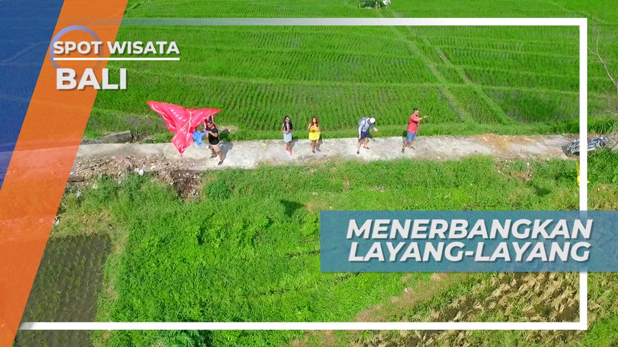 Menerbangkan Layang-Layang Warna Warni di Persawahan Canggu Bali