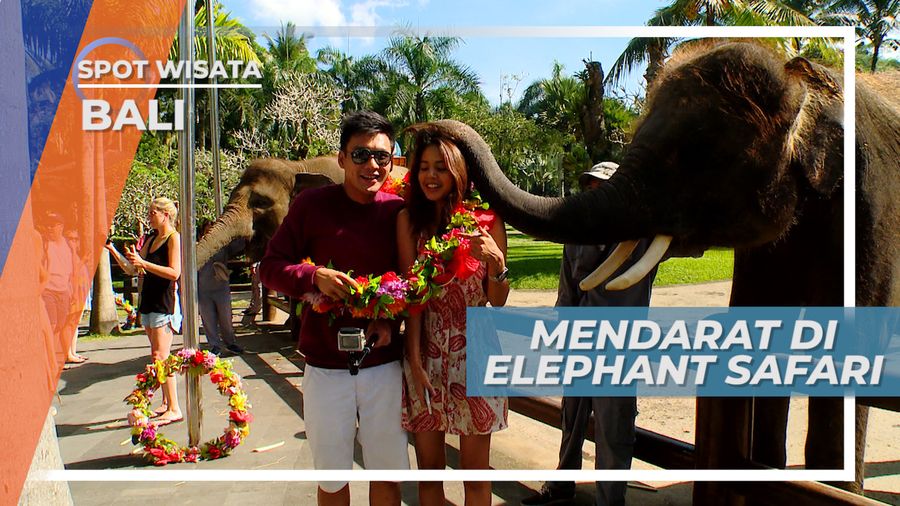 Elephant Safari, Kalung Bunga Sambutan Hangat Dari Gajah, Bali