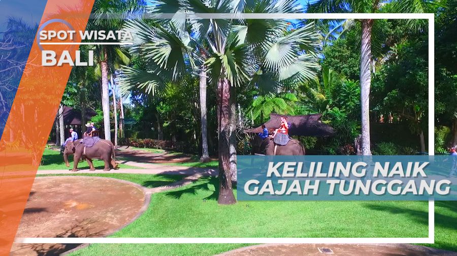 Elephant Safari, Serunya Berkeliling Taman Wisata Dengan Naik Gajah, Bali