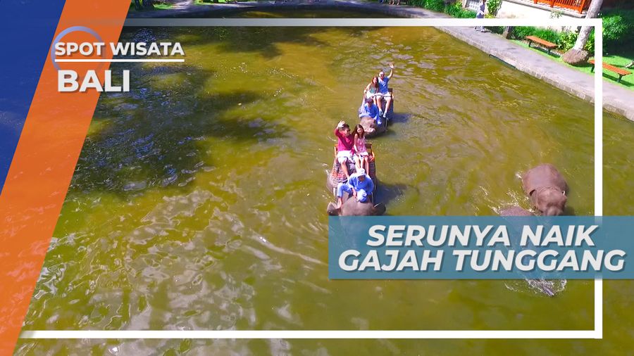 Elephant Safari, Bikin Deg-degan Naik Gajah Tunggang Melewati Kubangan, Bali