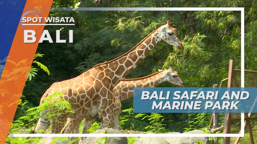 Berlibur Bersama Satwa Liar dan Hewan Buas di Gianyar Bali