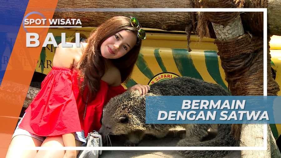 Bermain dan Bercengkrama Lebih Seru Bersama Satwa- Satwa Cantik di Gianyar Bali