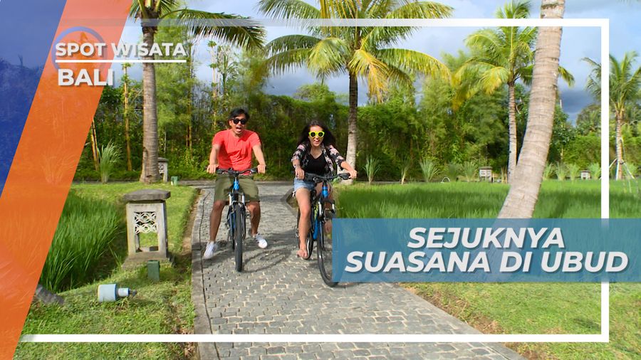 Sejuk dan Segarnya Suasana Persawahan di Ubud Bali