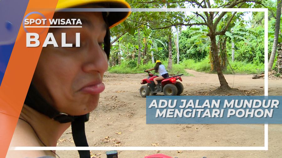 Bosan Melaju Kencang, Saatnya Adu Cepat Jalan Mundur Mengitari Pohon di Ubud Bali