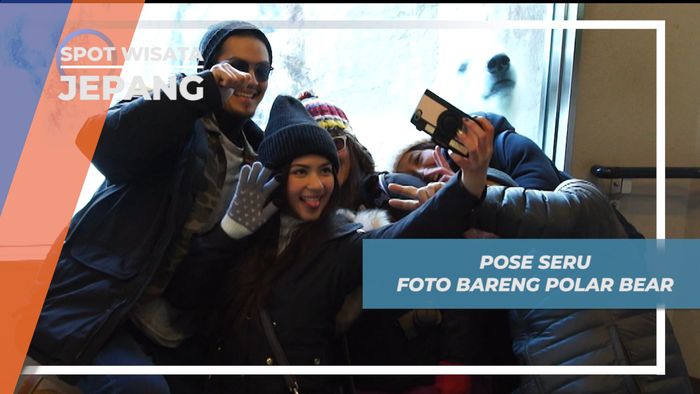 Polar Bear, Si Beruang Kutub Yang Senang Diajak Selfie di Masahiyama Zoo Hokkaido Jepang 