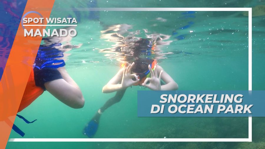 Snorkeling untuk Menikmati Keindahan Alam Bawah Air, Manado