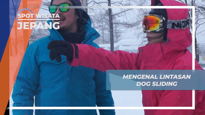 Lintasan Curam Dog Sliding, Hanya untuk yang Bernyali Besar, Jepang