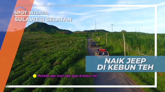 Pemandangan Hijau nan Sejuk Kebun Teh Menuju Malino Highland, Sulawesi Selatan