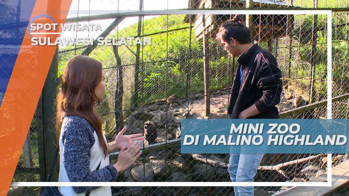 Melihat Satwa Liar dari Dekat di Mini Zoo, Sulawesi Selatan