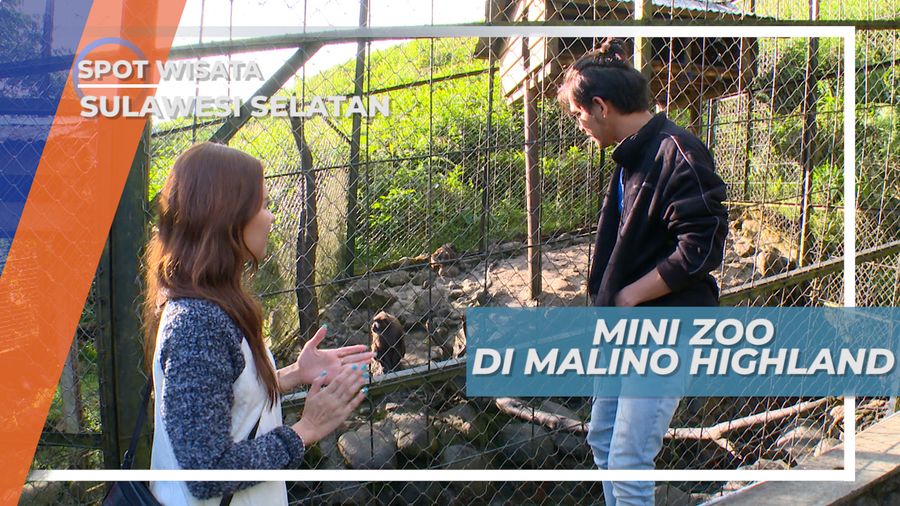 Melihat Satwa Liar dari Dekat di Mini Zoo, Sulawesi Selatan