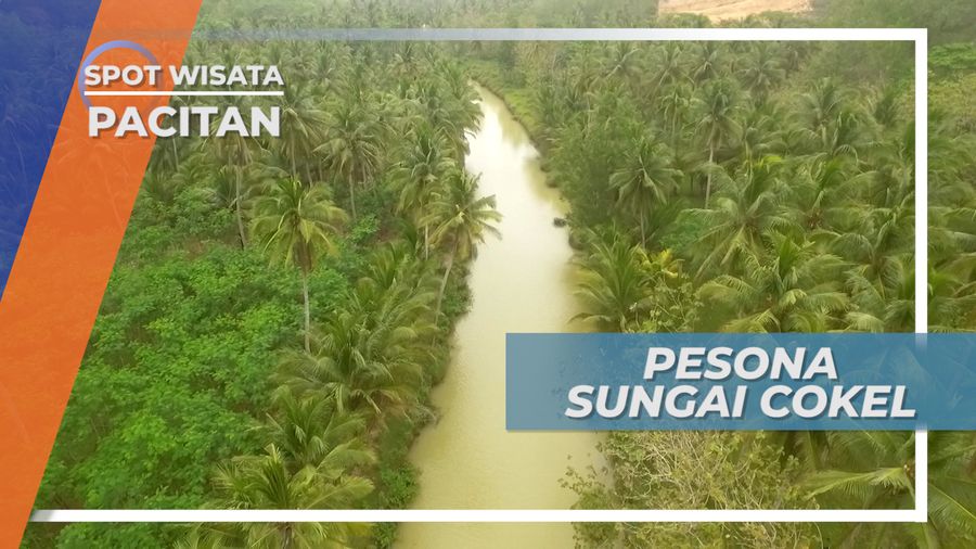 Keindahan Sungai Cokel yang Dikelilingi Pepohonan, Pacitan