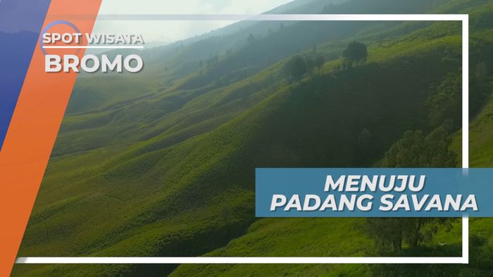 Taman Labirin Coban Rondo, Tempat Wisata Seru untuk Keluarga, Bromo