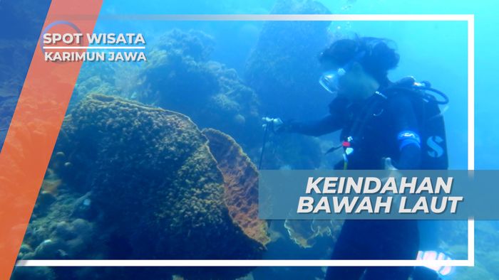 Menikmati Keindahan Bawah Laut Menjangan Besar, Karimunjawa