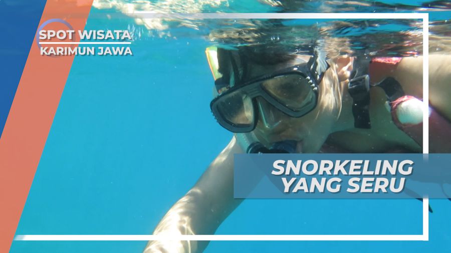 Aneka Ikan Mungil dan Terumbu Karang, Pemandangan Bawah Laut Karimunjawa