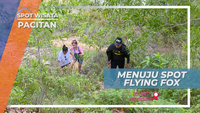 Medan Terjal Menuju Tempat Flying Fox Tertinggi di Indonesia, Pacitan