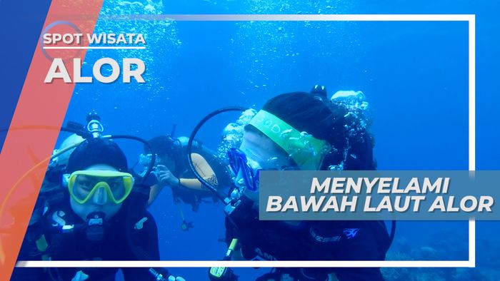 Menyelami Bawah Laut Pulau Alor, Penyajikan Pemandangan Cantik dan Warna-Warni yang Indah 