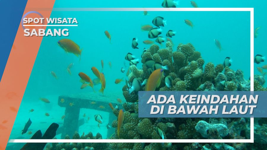 Pemandangan Terumbu Karang dan Ikan Laut di Pulau Rubiah, Sabang
