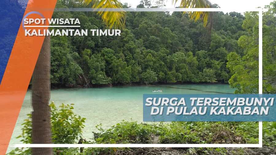 Laguna Cantik di Pulau Kakaban, Berau