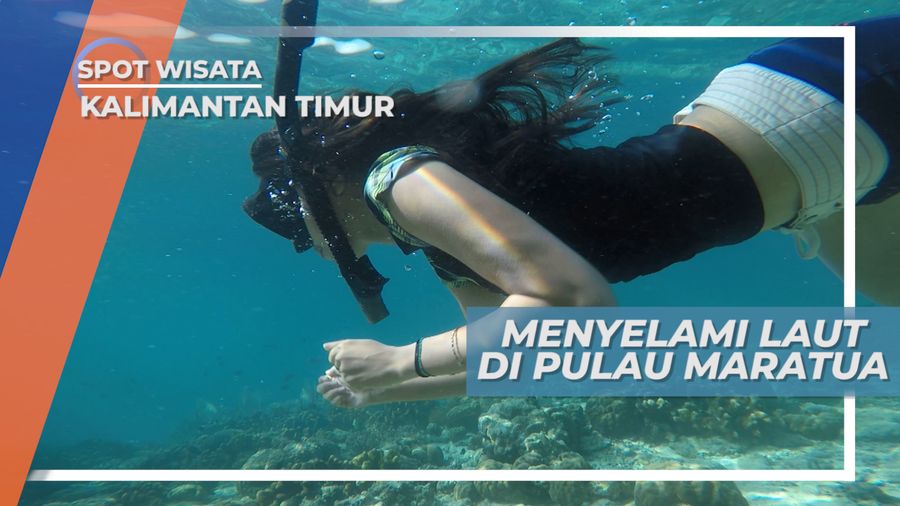 Menikmati Panorama Bawah Laut yang Indah di Pulau Maratua, Berau