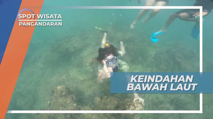 Keindahan Bawah Laut Pantai Pasir Putih, Pangandaran