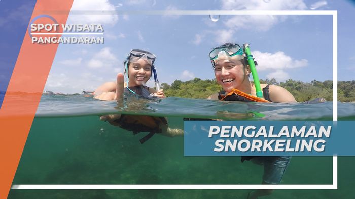 Panorama Memukau Kehidupan Bawah Laut Pasir Putih Pangandaran