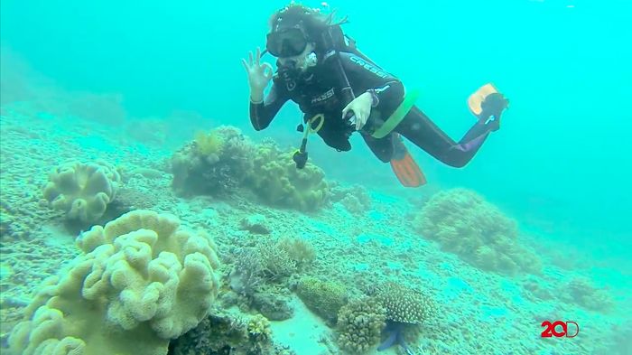 Diary detikTravel: Diving Pulau Dua