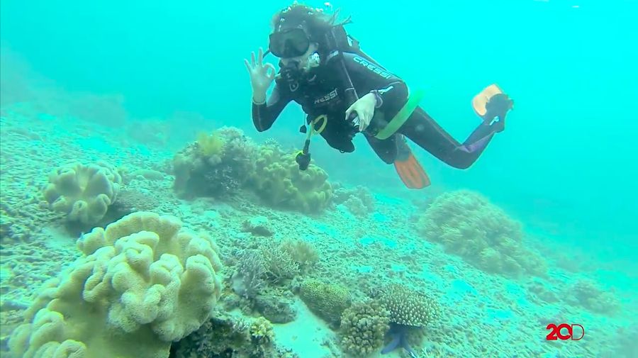 Diary detikTravel: Diving Pulau Dua