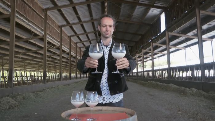 Ada Profesi Unik Milk Sommelier, Apa Tuh?