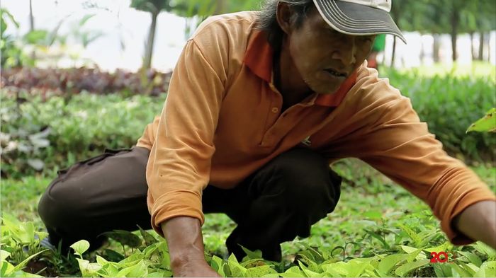 Tengok Sosok Pahlawan Ini yang Kadang Kita Abaikan 