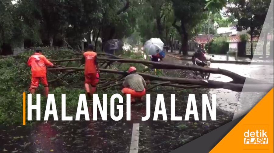 Diterjang Angin, 2 Pohon di Menteng Tumbang