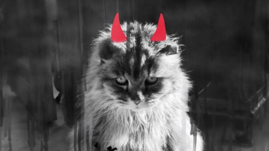 Lucu! Foto Ular Berkacak Pinggang Hingga Anjing Punk