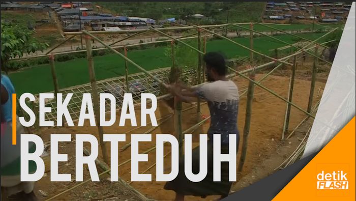 Cara Warga Rohingya Bangun Tenda di Pengungsian  